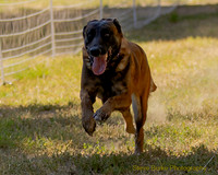 FastCat Woodland Sept 25-6788