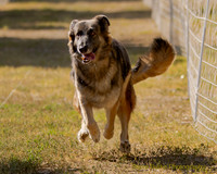 FastCat Woodland Sept 25-6829