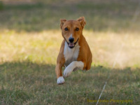 FastCat Woodland Sept 25-5854