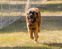 FastCat Woodland Sept 25-6259