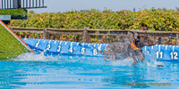 DockDiveCamelot 091262026-0812