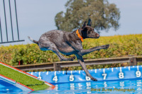 DockDiveCamelot 091262026-1053