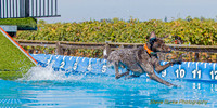DockDiveCamelot 091262026-0811