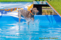 DockDiveCamelot 091262026-0817