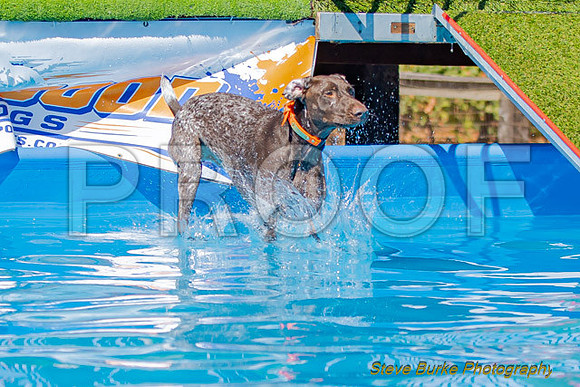 DockDiveCamelot 091262026-0817