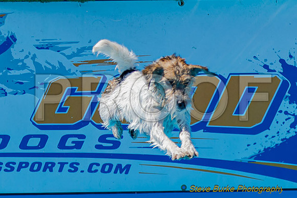 DockDiveCamelot 091262026-1106