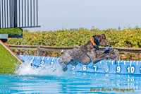 DockDiveCamelot 091262026-0810