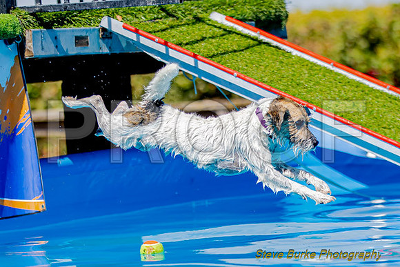 DockDiveCamelot 091262026-1064