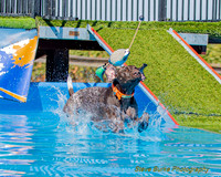 DockDiveCamelot 091262026-0827