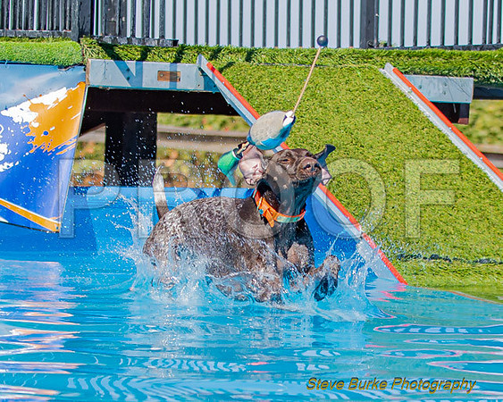 DockDiveCamelot 091262026-0827