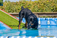 DockDiveCamelot 091262026-1008