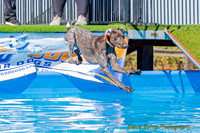 DockDiveCamelot 091262026-0816