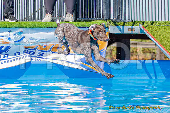 DockDiveCamelot 091262026-0816