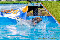 DockDiveCamelot 091262026-0820