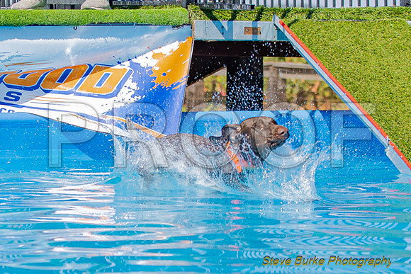 DockDiveCamelot 091262026-0820