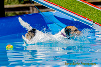 DockDiveCamelot 091262026-1065