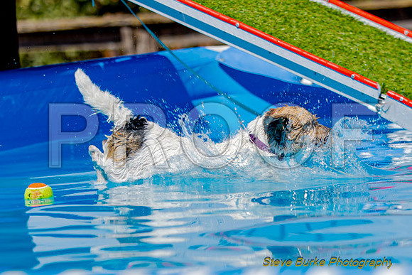 DockDiveCamelot 091262026-1065