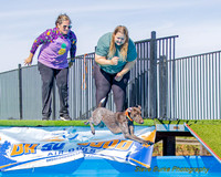 DockDiveCamelot 091262026-0815