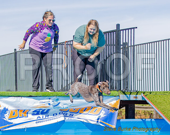 DockDiveCamelot 091262026-0815