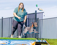 DockDiveCamelot 091262026-0823