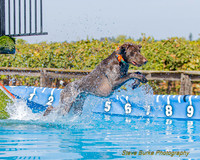 DockDiveCamelot 091262026-0809