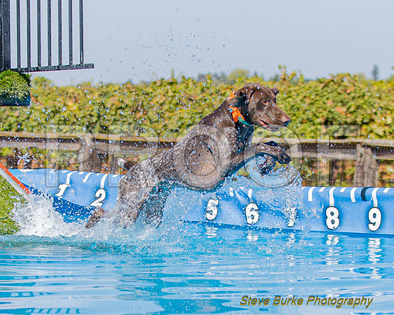 DockDiveCamelot 091262026-0809