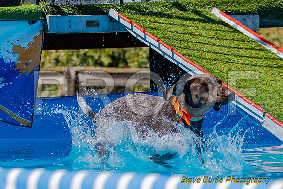 DockDiveCamelot 091262026-1251