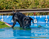 DockDiveCamelot 091262026-1207
