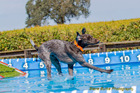 DockDiveCamelot 091262026-1054