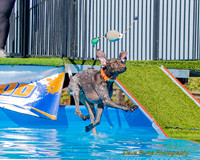 DockDiveCamelot 091262026-0826