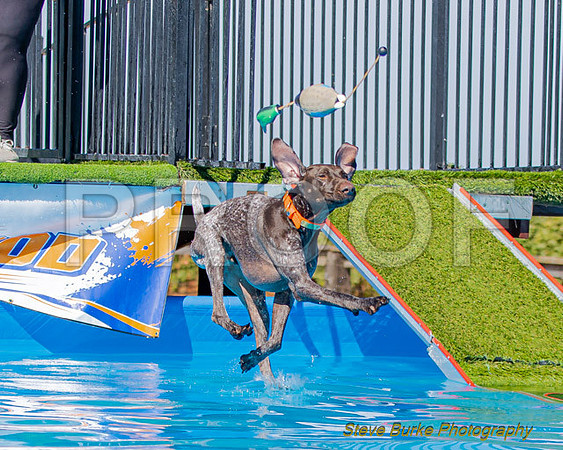 DockDiveCamelot 091262026-0826