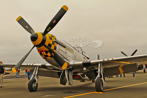 Wings over Wine Country 2011-1
